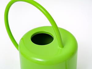 Green powder-coated steel watering can