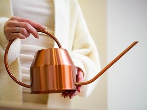 Rose gold stainless steel watering can
