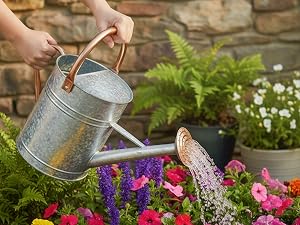 Metal watering can ergonomic dual handles