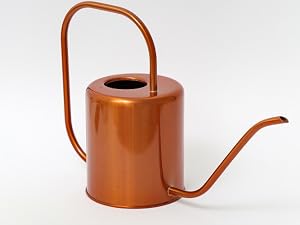 Rose gold stainless steel watering can