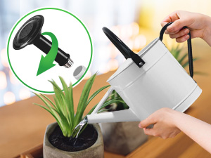 Metal watering can removable spout