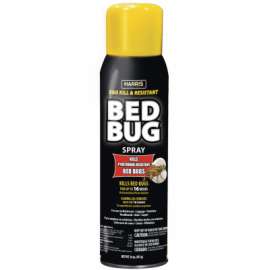 16OZ Aero Bed Bug Black
