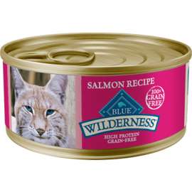 BBW 5.5OZ Salm Cat Food