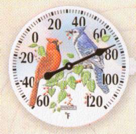 6" Thermometer Birds
