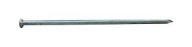 Pro-Fit 8 in. Spike Hot-Dipped Galvanized Steel Nail Round Head 5 lb