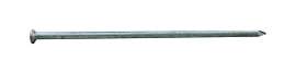 Pro-Fit 12 in. Spike Hot-Dipped Galvanized Steel Nail Round Head 5 lb