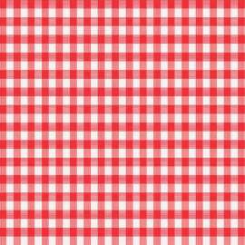 Magic Cover Red/White Checkered Vinyl Disposable Tablecloth 70 in. 52 in.