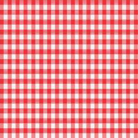 Magic Cover Red/White Checkered Vinyl Disposable Tablecloth 54 in. 54 in.