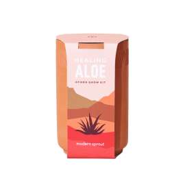 Modern Sprout Healing Aloe Succulent Seed Starter Kit