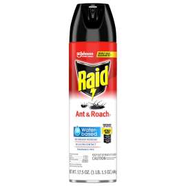 Raid Ant and Roach Killer Spray 17.5 oz