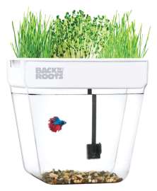 Back to the Roots Water Garden Assorted Flower and Herb Grow Kit 1 pk