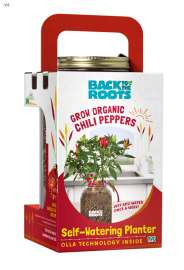 Back to the Roots Self-Watering Planter Chili Peppers Grow Kit 1 pk