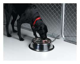 API Silver Stainless Steel 1.25 gal Heated Pet Bowl For Dog
