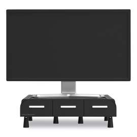 Perch Monitor Stand and Desk Organizer, 13.46" x 12.87" x 2.72", Black/Silver