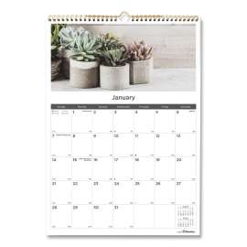 12-Month Wall Calendar, Succulent Plants Photography, 12 x 17, White/Multicolor Sheets, 12-Month (Jan to Dec): 2023