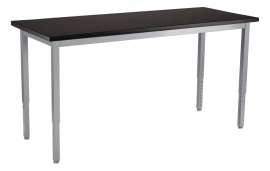 NPS - Steel Series Gray 60"L x 24"W x 22.25" to 37.25"H Science Table with Chemical Resistant Top