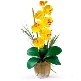Nearly Natural Phalaenopsis Silk Orchid Flower Arrangement, Yellow