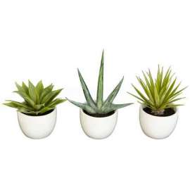 Nearly Natural Southwest Collection (Set of 3)