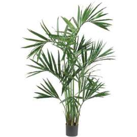 Nearly Natural 6' Kentia Palm Silk Tree, Green
