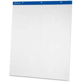 Evidence Flip Chart Pads, 27 x 34, 50 Plain Sheets/Pad, 2 Pads/Ct