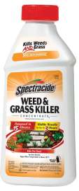 Spectracide HG-66001 Weed and Grass Killer, 16 oz